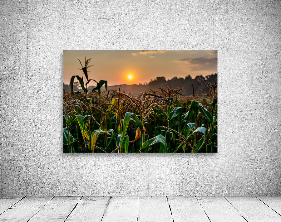 corn cloud  5002 Wall Preview
