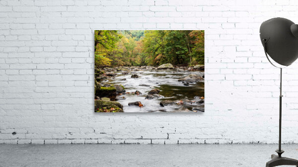 fall color 150055 Wall Preview