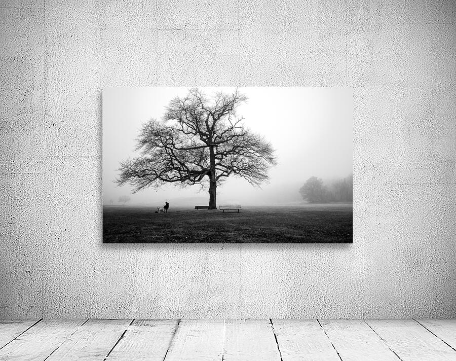 Fogged In Wall Preview