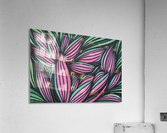 Mazeri  Acrylic Print