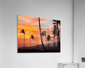 Maui Palms Acrylic Print