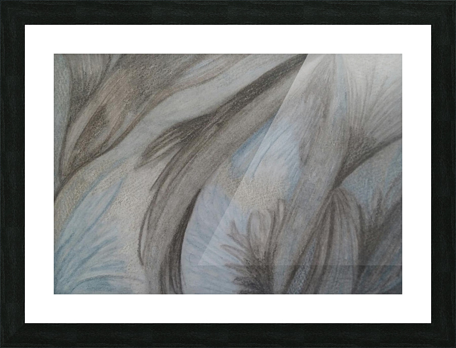 Orca Picture Frame print