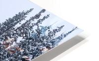singlefile HD Metal print