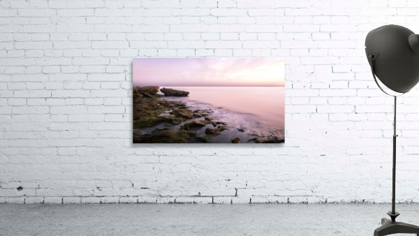 coral cove test 2 take 2 Wall Preview