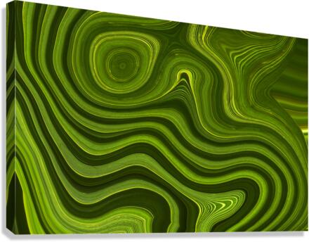 Green abstract liquify background close up Canvas Print