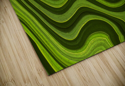 Green abstract liquify background close up MVP puzzle