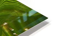 Green abstract liquify background close up HD Metal print