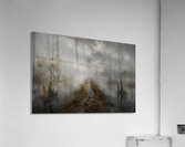 Misty Path Through Swamp Acrylic Print
