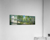 Forest Landscape 4 Acrylic Print