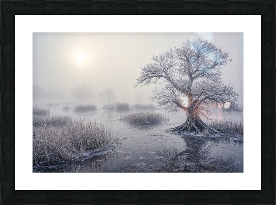 Winter Wetland Picture Frame print