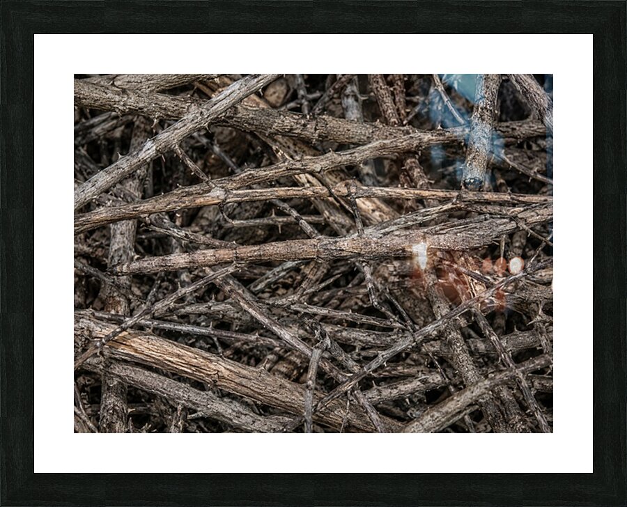 Camouflage 1 Picture Frame print