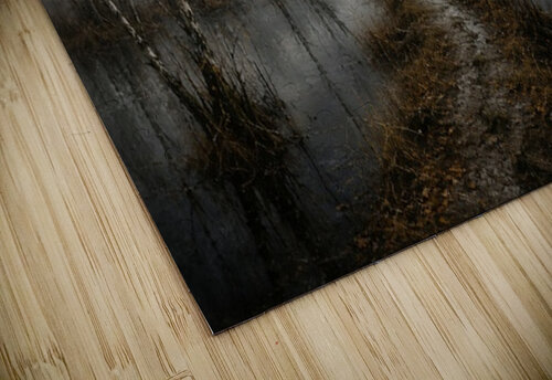 Path Through Misty Wetlands Ego Crash puzzle