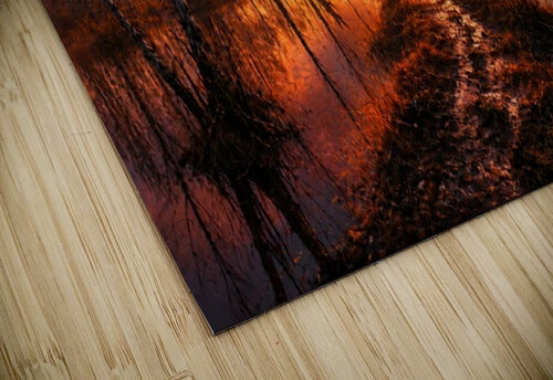 Dramatic Sunset Over Reflective Marshland Ego Crash puzzle