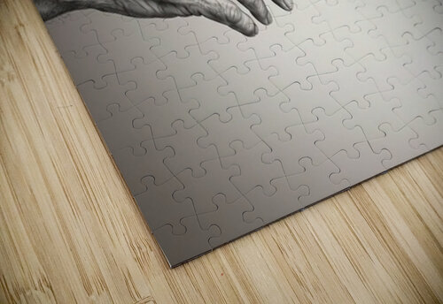 Brilliant Stroke 5 Ego Crash puzzle