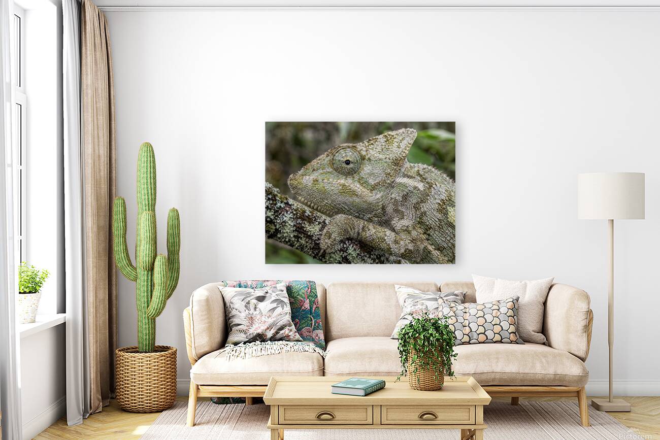 Camouflage 7 Reproduction