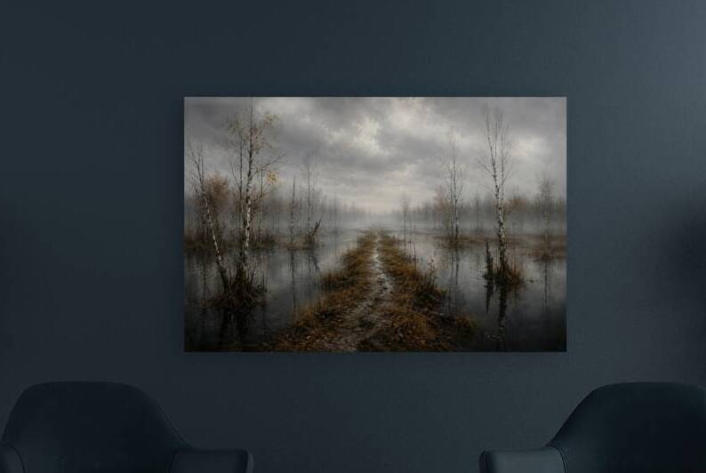 Path Through Misty Wetlands Reproduction