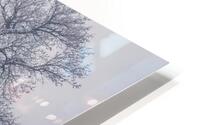 Winter Wetland HD Metal print