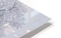 Winter Wetland HD Metal print