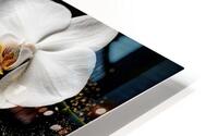 Elegant Orchid Reflection HD Metal print