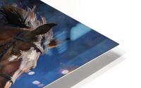 Focused Leap 4 HD Metal print