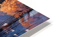 Forest Landscape 1 HD Metal print