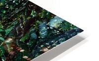 Forest Landscape 2 HD Metal print