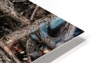 Camouflage 1 HD Metal print