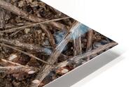 Camouflage 2 HD Metal print