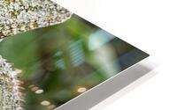 Camouflage 7 HD Metal print
