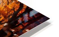Late autumn forest 4 HD Metal print