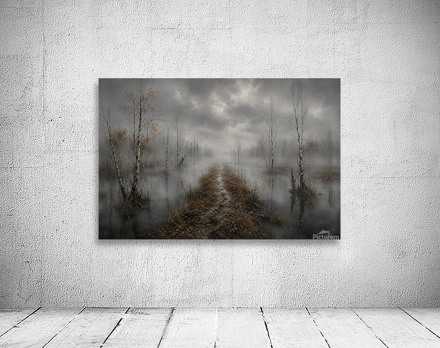 Misty Path Through Swamp Wall Preview