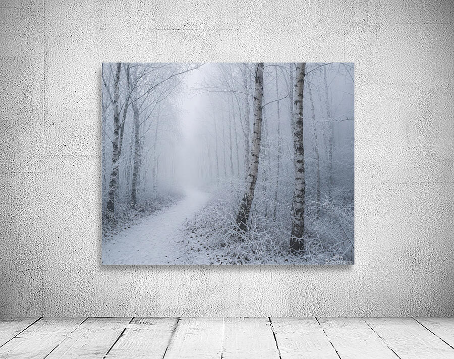 Misty Winter Forest Path Wall Preview
