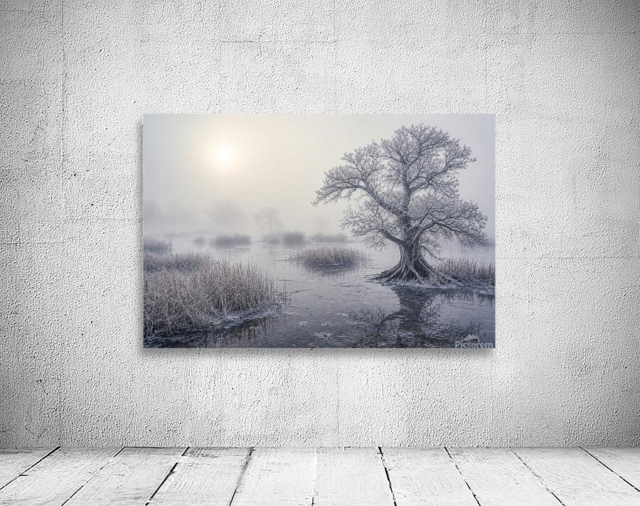 Winter Wetland Wall Preview