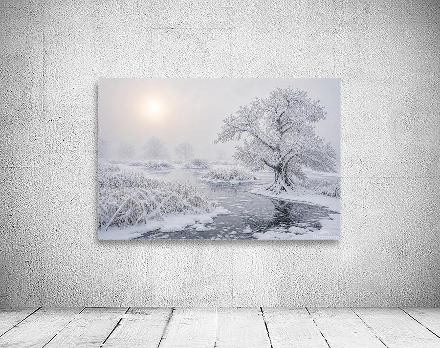 Winter Wetland Wall Preview