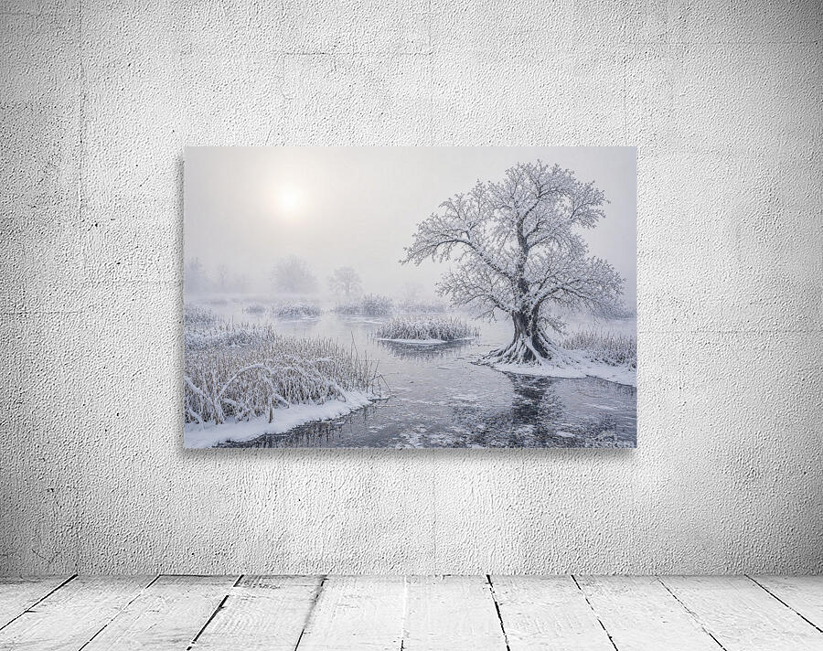 Winter Wetland Wall Preview