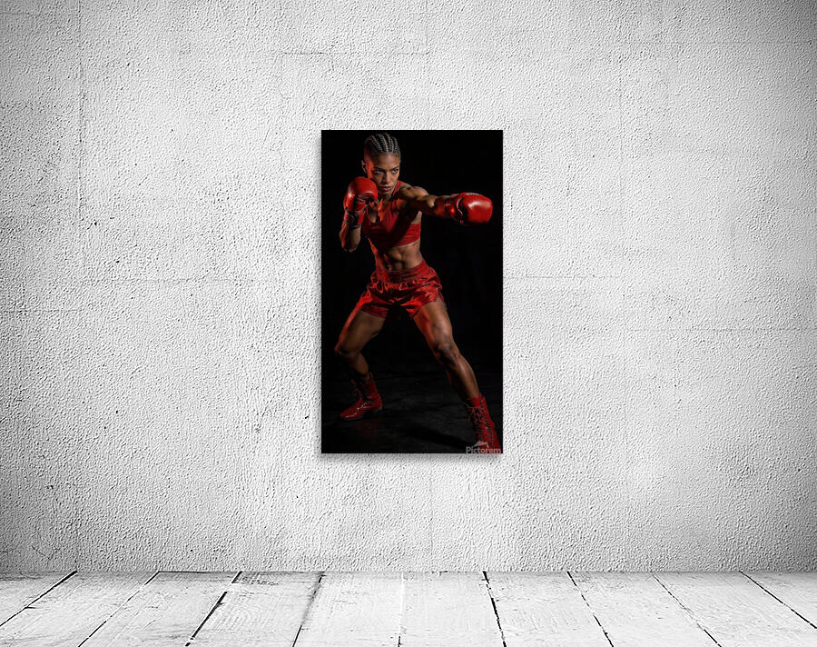 In a fighting pose 3 Wall Preview