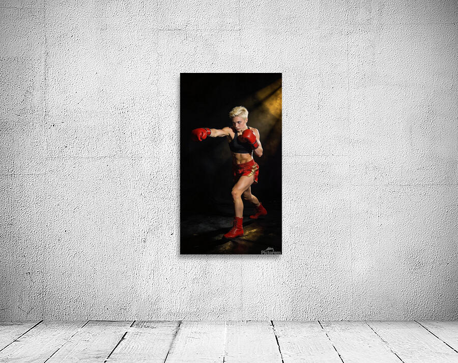 In a fighting pose 8 Wall Preview