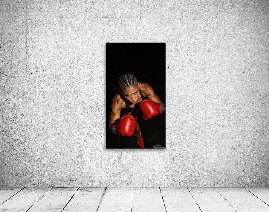 In a fighting pose 13 Wall Preview