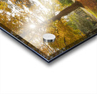 Autumn Glow Impression Acrylique