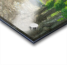 Cherry Blossom Pathway Acrylic print