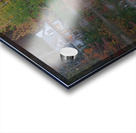 Parc Duquette Autumn Pond Reflection Acrylic print