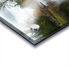 Stewart park Reflections Acrylic print