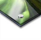 Prelude Lake Aurora Explosion Acrylic print