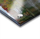 Saint Sophie Autumn Vibrancy Acrylic print