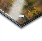 Classic Autumn Pond Beauty Acrylic print