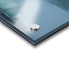 Horseshoe Silky Summer Smooth Acrylic print