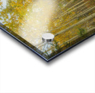 Northern Autumn Serenity Impression Acrylique