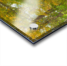 Rural Niagara Autumn Path Acrylic print