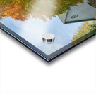 Autumn Classic Maples Impression Acrylique