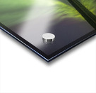 Aurora Pond Dance Acrylic print